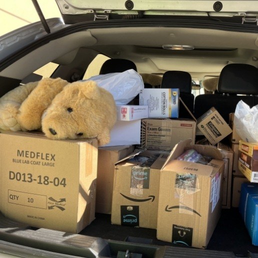 Car trunk filled with boxes and a teddy bear